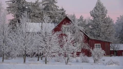 Frosty winter trees and old red homestead Stock Footage 259318068