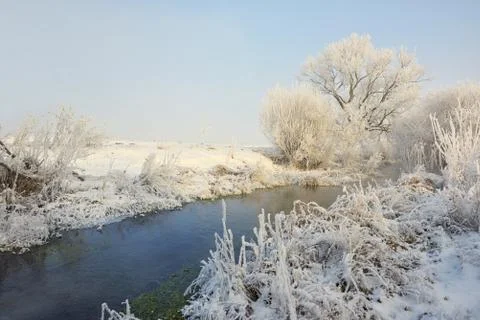 Frosty winter trees on river Free Stock Photos