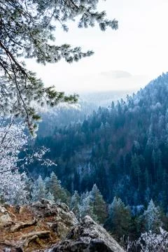 Frosty winter walk to Tomasovsky view, the rock protuberance Stock Photos