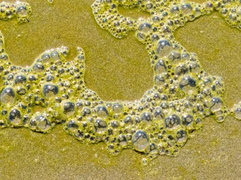 Froth bubbles texture from polluted water on sand Foto stock