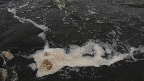 Froth-foam-lake-pollution-river-bank Stock Footage 94011936