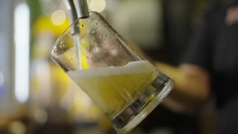 Frothy Beer Poured at a Bar Counter Stock Footage 308589920