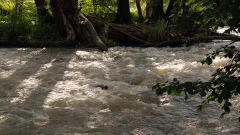 Frothy, dirty Olt river at summertime Stock Footage 112587593