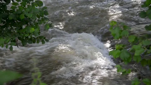 Frothy, dirty Olt river at summertime Stock Footage 112587629
