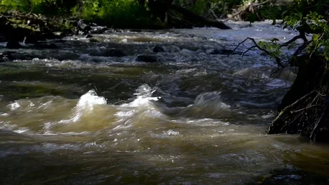 Frothy, dirty Olt river at summertime Stock Footage 112587636