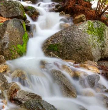 Frothy mountain stream Stock Photos