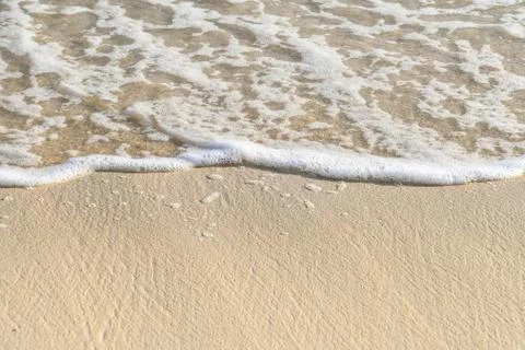 Frothy saltwater on sandy beach Stock Photos