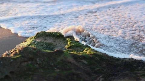 Frothy waves break against a large rock on the ocean Stock Footage 130002027