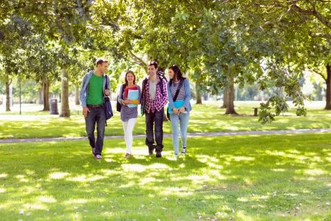 Froup of college students walking in the park Stock Photos