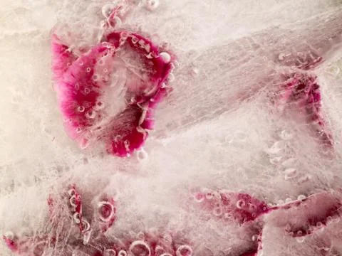 Frozen abstraction Stock Photos