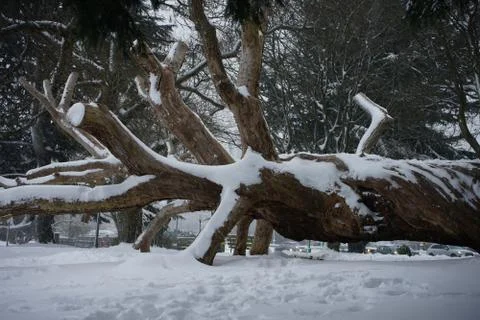 Frozen in action Stock Photos