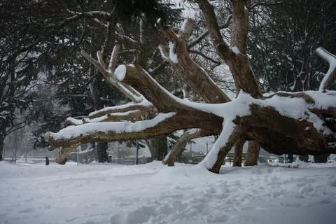 Frozen in action Stock Photos