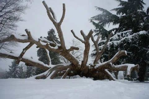 Frozen in action Stock Photos