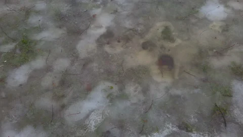 Frozen Air Bubble Under Ice Városliget Budapest Hungary Winter Nature Macro Video stock 330885125
