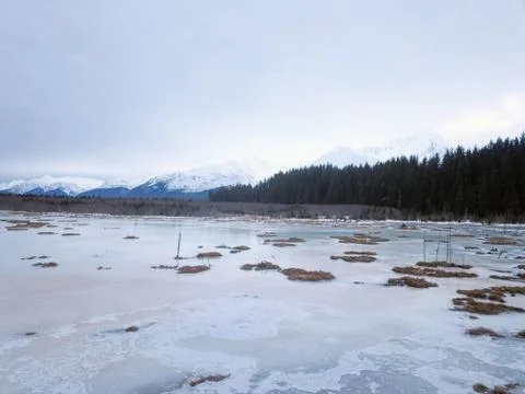 Frozen Alaskan marsh Stock Photos