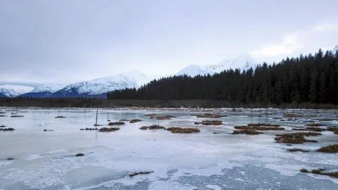 Frozen Alaskan marsh Stock Photos