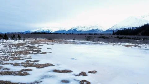 Frozen Alaskan marsh Stock Photos