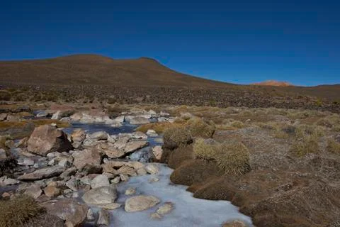 Frozen Altiplano Stock Photos