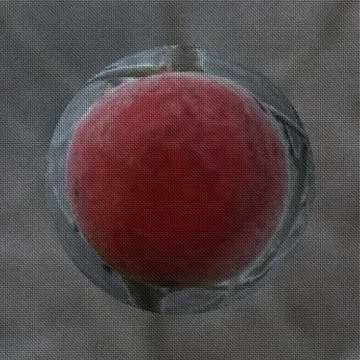 Frozen apple on cloth texture Stock Illustration