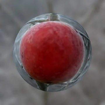 Frozen apple in ice ball. Stock Illustration