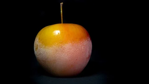 Frozen Apple Unfrozing Fast Cryotherapy Cryonics Cryogenics 스톡 동영상 112983754