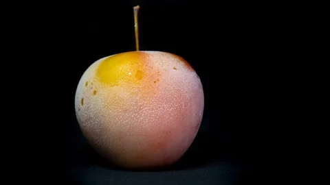 Frozen Apple Unfrozing Slowly Timelapse Cryotherapy Cryonics Cryogenics 스톡 동영상 112991548