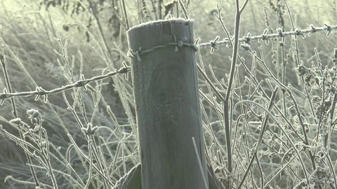 Frozen Barbed Wire Fence Stock Footage 102395907