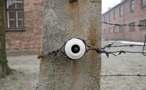 Frozen barbed wire Stock Photos
