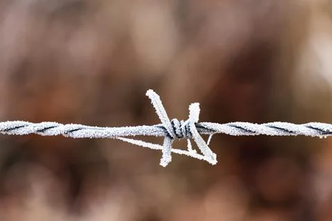 Frozen barbed wire Stock Photos