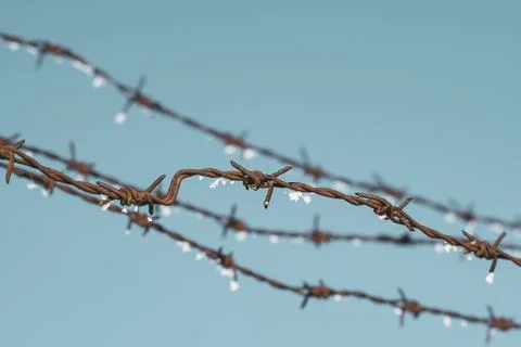 Frozen barbed wire Stock Photos