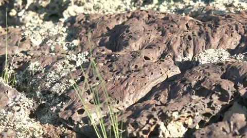 Frozen basalt lava rocks - Geological Formation and Mineral Surface Stock Footage 339704914