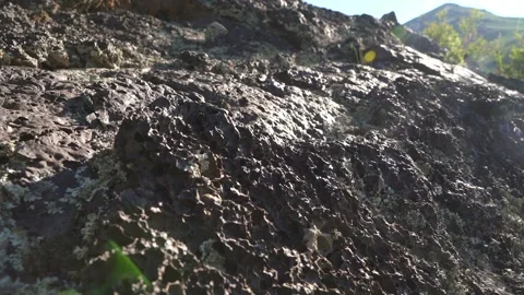 Frozen basalt lava rocks - Volcanic Formation and Geological Detail Stock Footage 339705130