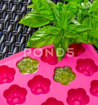 Frozen basil pesto in an ice cube tray Stock Photos