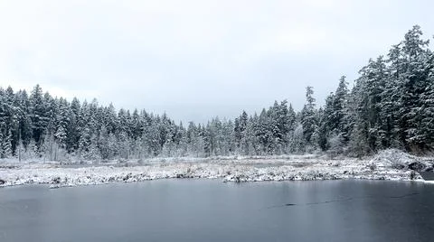 Frozen Beaver Lake covered in snow in Stanley Park Stock Photos