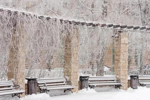 Frozen bench in the park Foto stock
