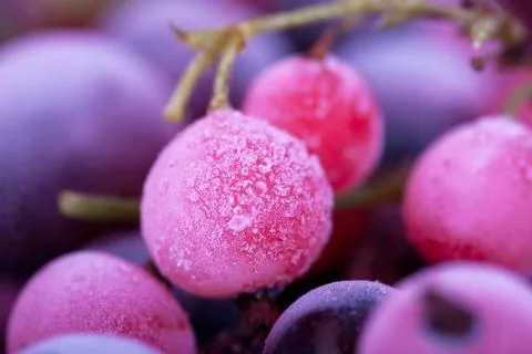 Frozen berries Stock Photos
