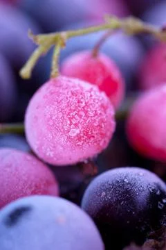 Frozen berries Stock Photos