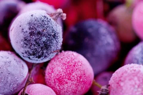 Frozen berries Stock Photos