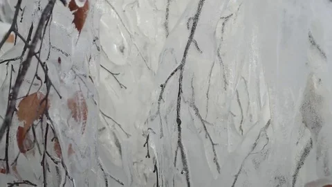 Frozen Birch branches and covered with ice. Sliding along. Freezing Rain. Stock Footage 69226558
