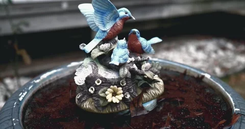 Frozen Bird Bath in the fall Stock Footage 260829594