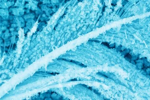 Frozen bird feather Stock Photos