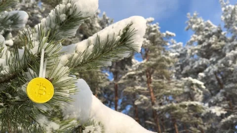 Frozen Bitcoin coin in the Winter forest 스톡 동영상 259569213