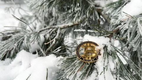Frozen Bitcoin coin in the Winter forest Stock Footage 261016361