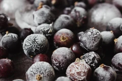 Frozen black currant Stock Photos