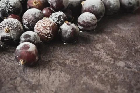 Frozen  black currant Stock Photos