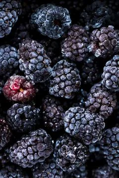 Frozen blackberries background. Close up. Stock-Fotos