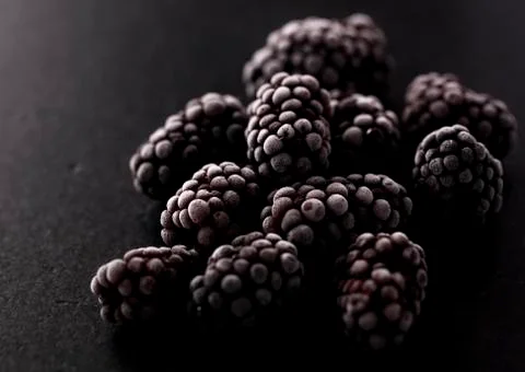 Frozen blackberries Stock Photos