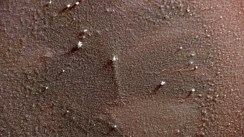 Frozen blood Stock Footage 192325099