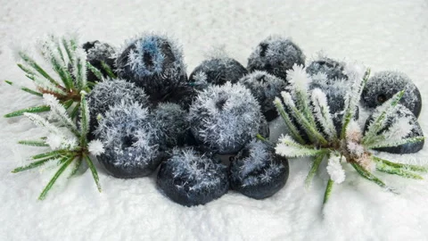 Frozen blueberries close-up. Stock Footage 144560237
