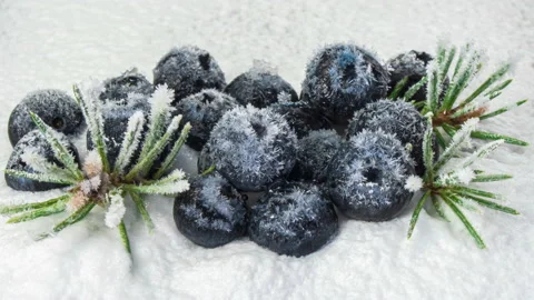 Frozen blueberries close-up. The process of freezing berries in the cold. Dew Stock Footage 143625632